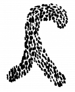 jdf14 jdf14